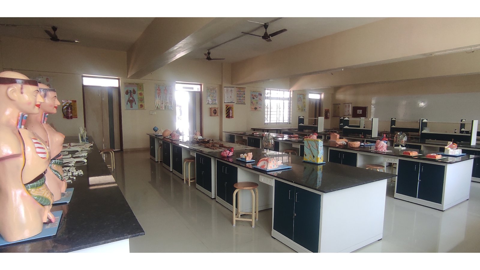 Preclinical science lab 2