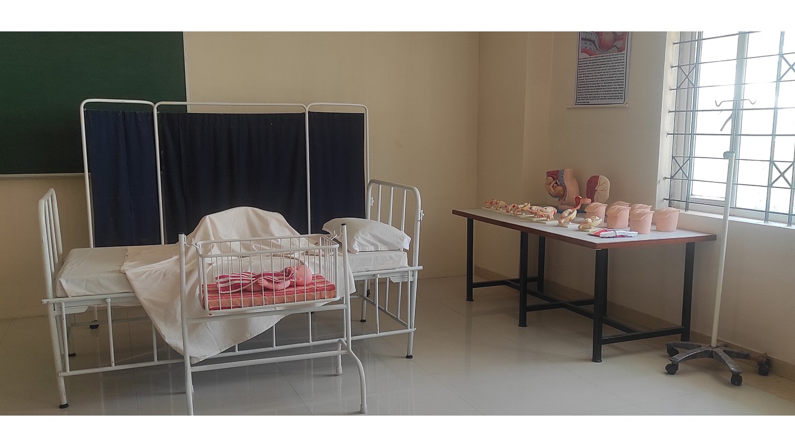 Obstetrics and Gynecology Lab 2